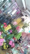 「南島フラワー」　（三重県度会郡南伊勢町）の花屋店舗写真1